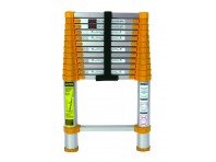 Xtend+Climb Telescoping Ladder