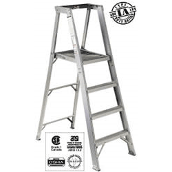Master™ Platform Ladder 3'