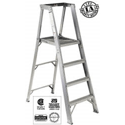 Master™ Platform Ladder 5'