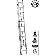 Louisville Colonel Extension Ladder